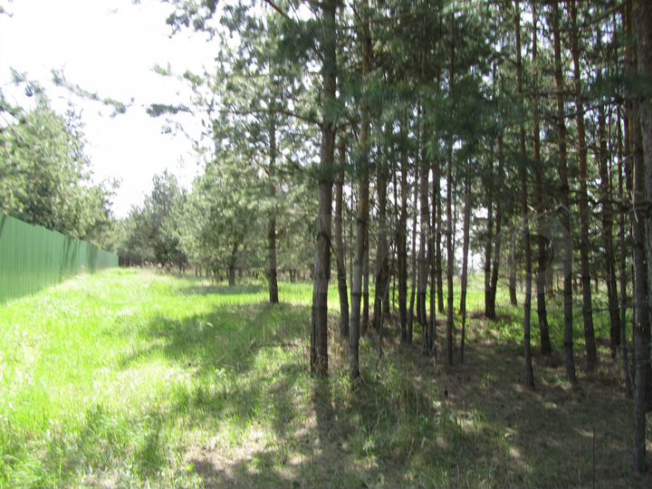 Участок 7,25 га (ИЖС)