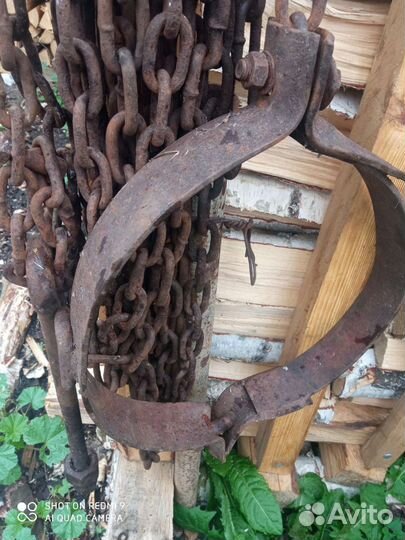 Цепь с хомутом для крс