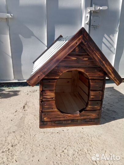 Собачья конура