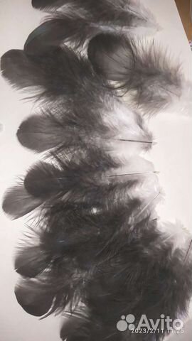 Перья чёрно-белые