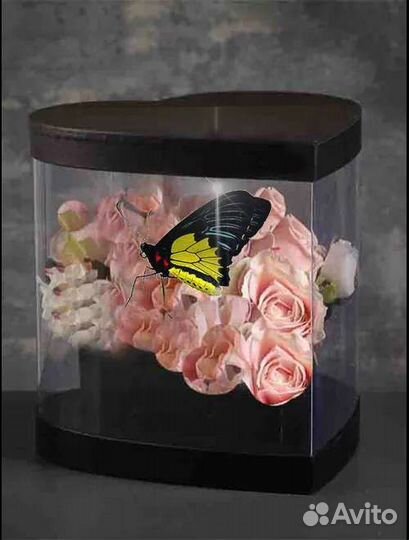 Коробки с цветами и живыми бабочками