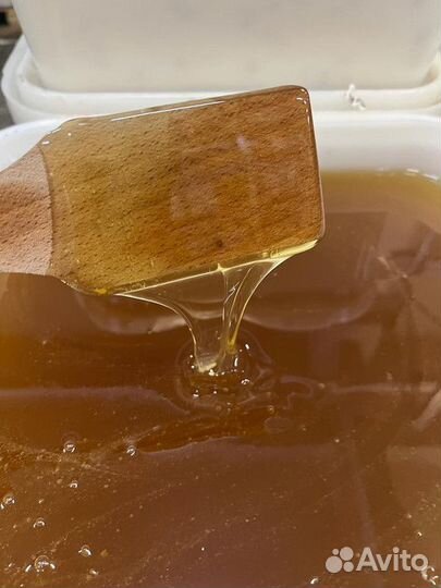 Липовый мед только оптом свежий