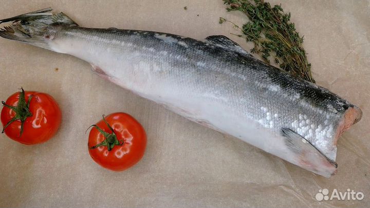 Кета пбг 2023г