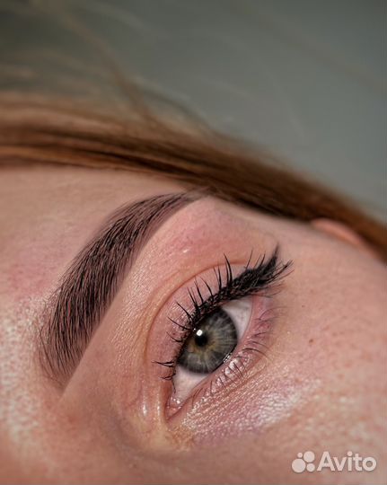 Мастер бровист