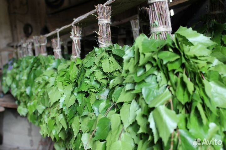 Веники для бани, березовые