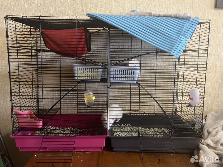 Клетка для грызунов крыс