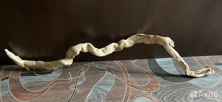 Коряга Корень