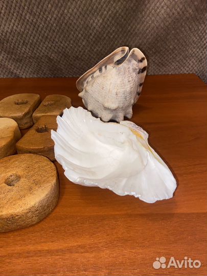 Морские поплавки кухтыли, балберы и раковины