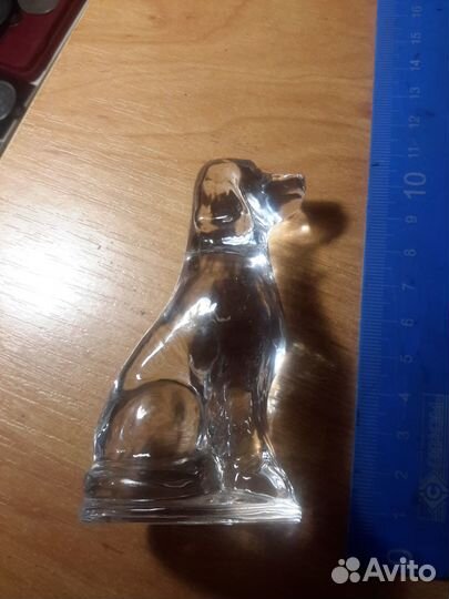 Собака, хрусталь