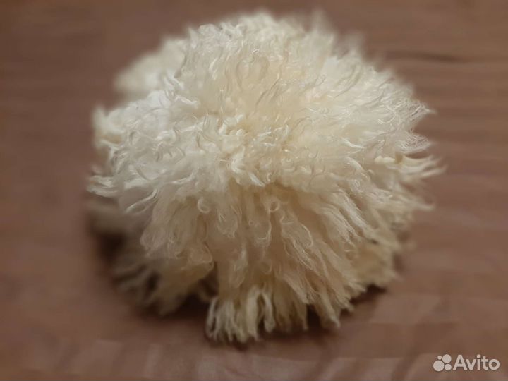 Папаха из Карачаево-Черкесской республики