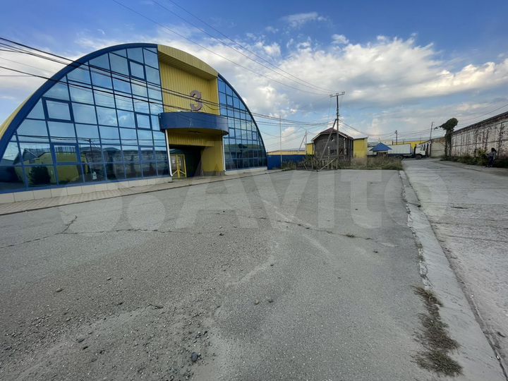 Торговая площадь, 977 м²