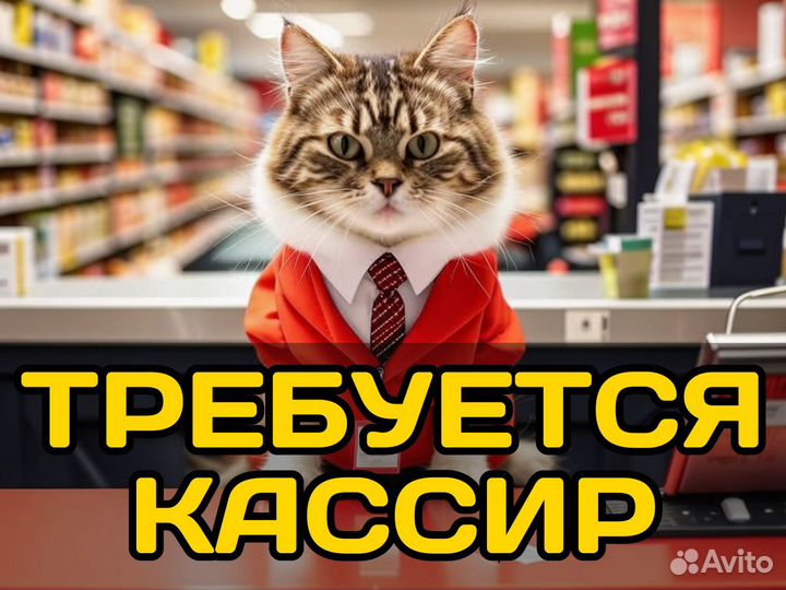 Продавец кассир с еженедельными выплатами