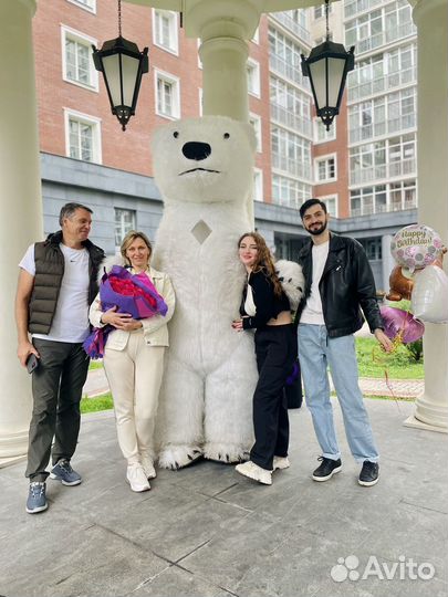 Танцующий Белый Мишка Поздравление