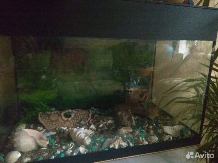 Аквариум