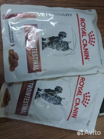 Корм для кошек лечебный