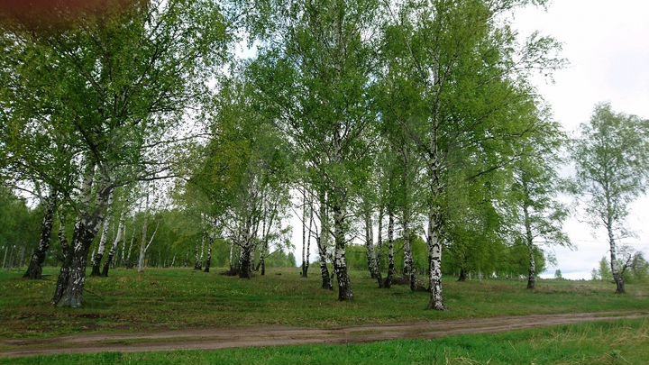 Участок 15 сот. (ИЖС)