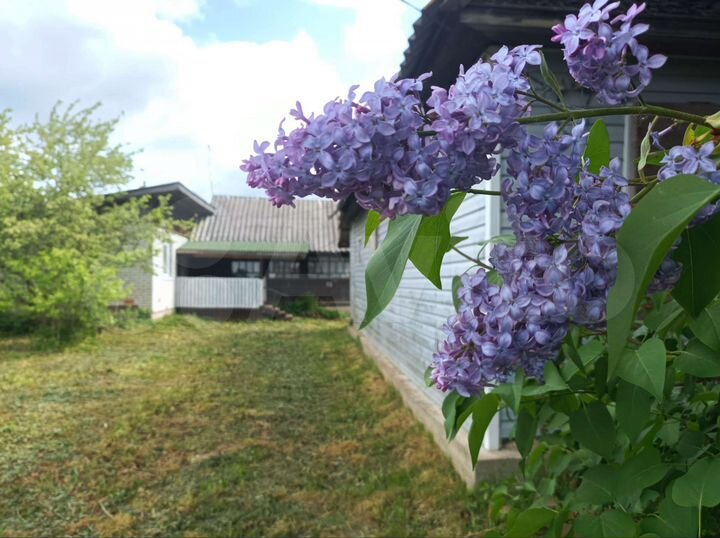 Дом 50 м² на участке 15,9 сот.