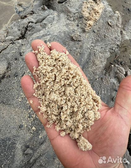 Песко соль