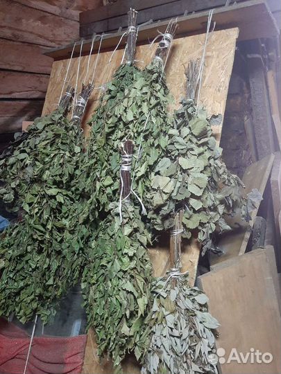 Банные веники, запарнрк