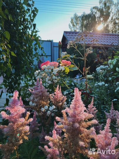 Сиделка с проживанием