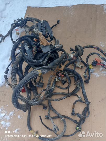 Проводка двс Chevrolet Aveo T250 2008г б.у