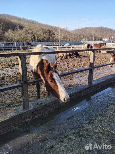 Поход в горы