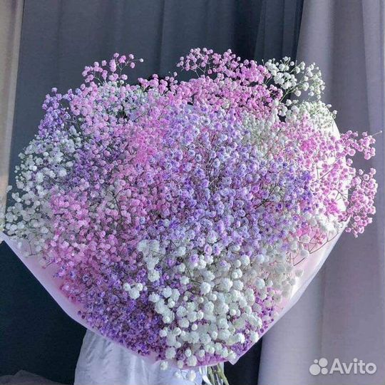 Гипсафила букет