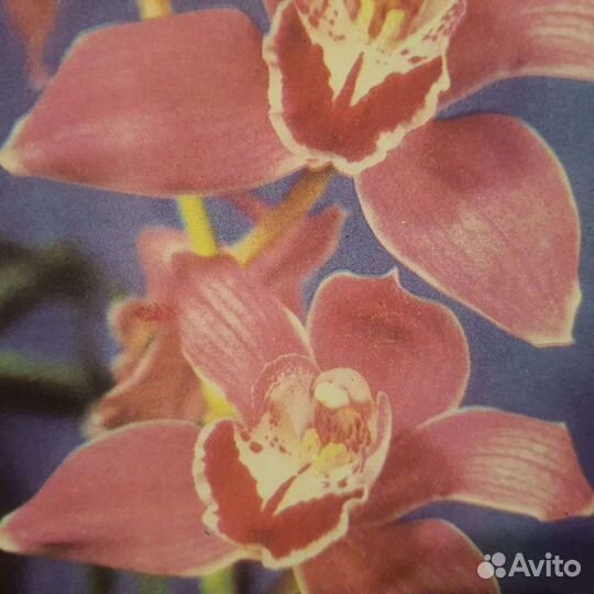 Открытки советские