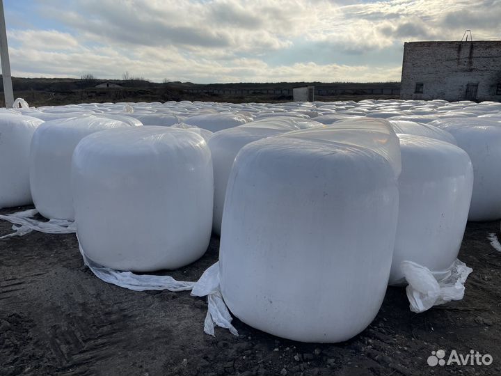 Свекловичный жом