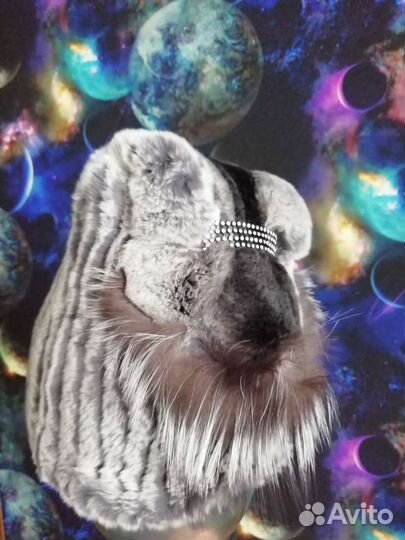 Шапка натуральный мех