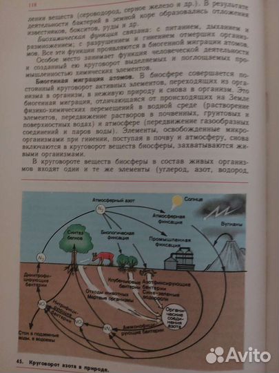 Общая Биология 10-11 класс
