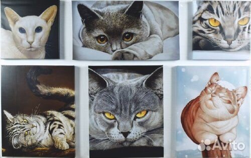 Модульные картины 6 частей