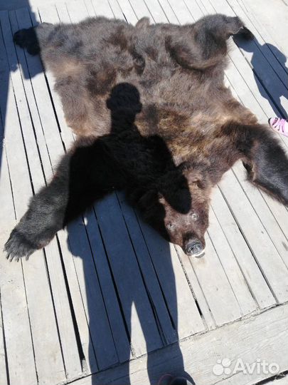Шкура медведя искусственная ковер