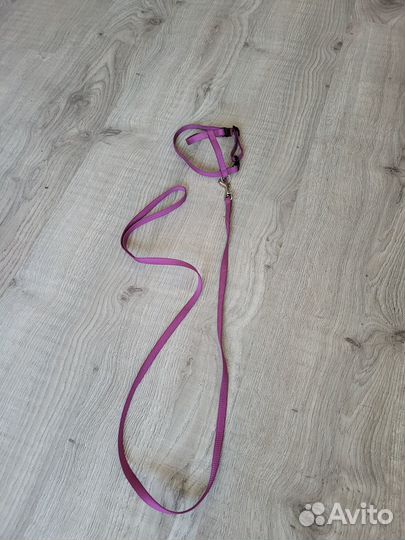 Поводок и шлейка