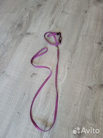 Поводок и шлейка