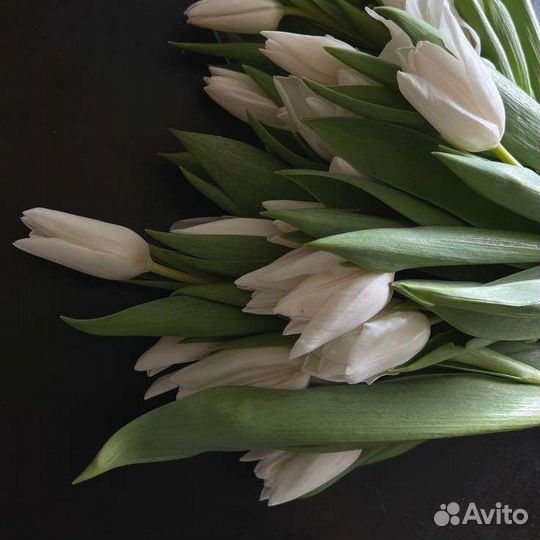 Тюльпаны в розницу на 8 марта