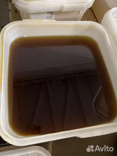 Дягиль мед свежий оптом