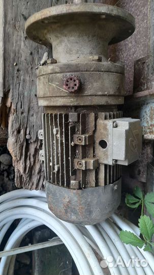 Шлифмашинка по бетону