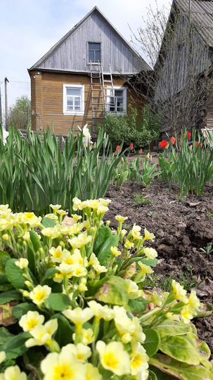 Дом 59 м² на участке 30,7 сот.