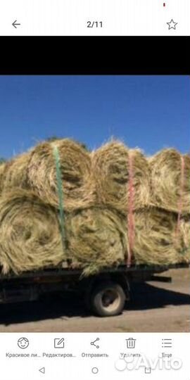 Сено из Ахтубы