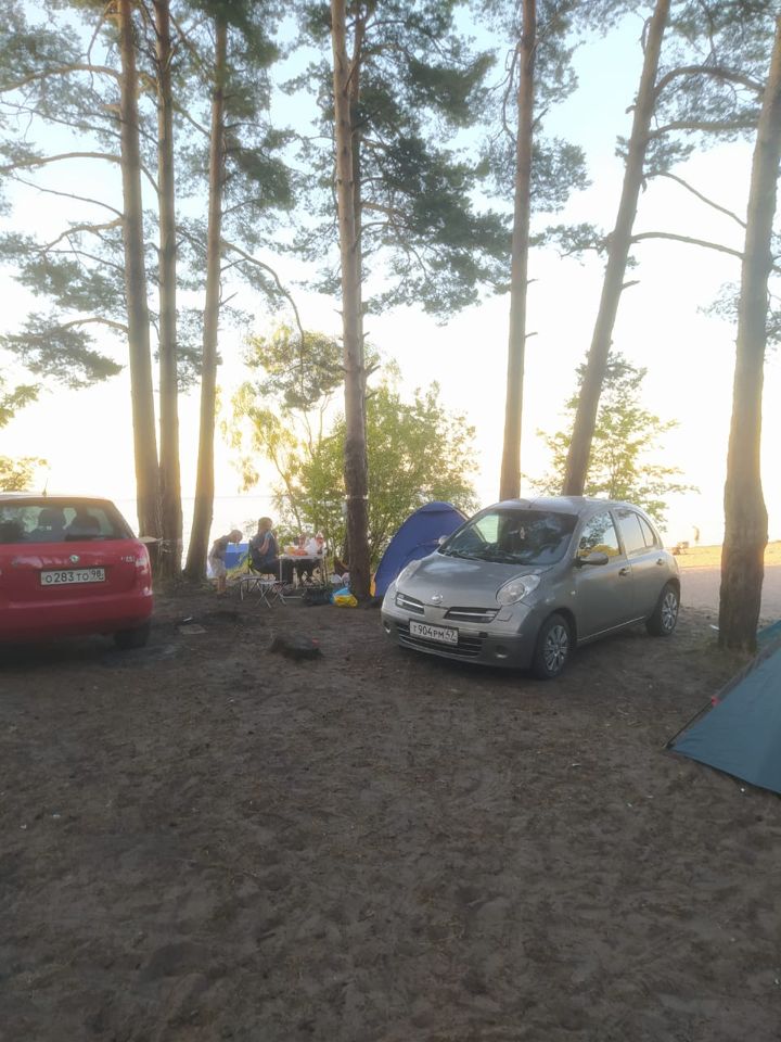 Nissan Micra: фото владельца