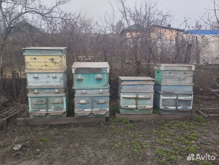 Улей для пчел бу