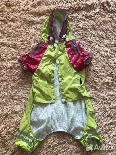 Одежда для собак