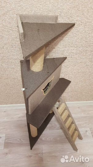 Кошачий комплекс DaLi