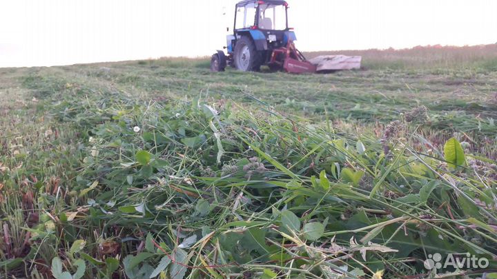 Сено укос 2023 года