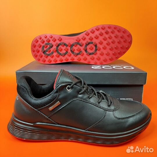 Кроссовки Ecco Biom