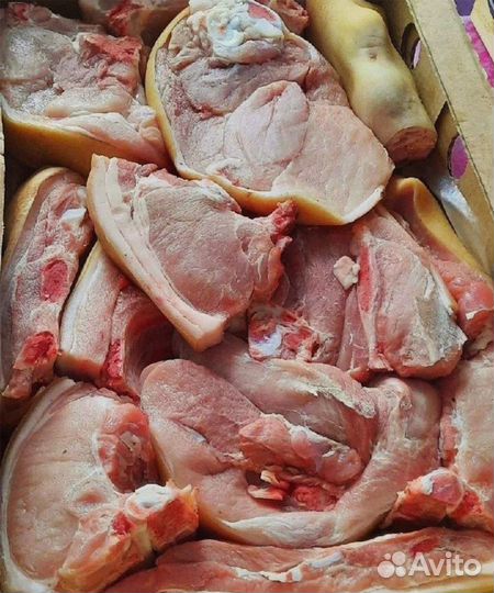 Мясо домашнее Свинина