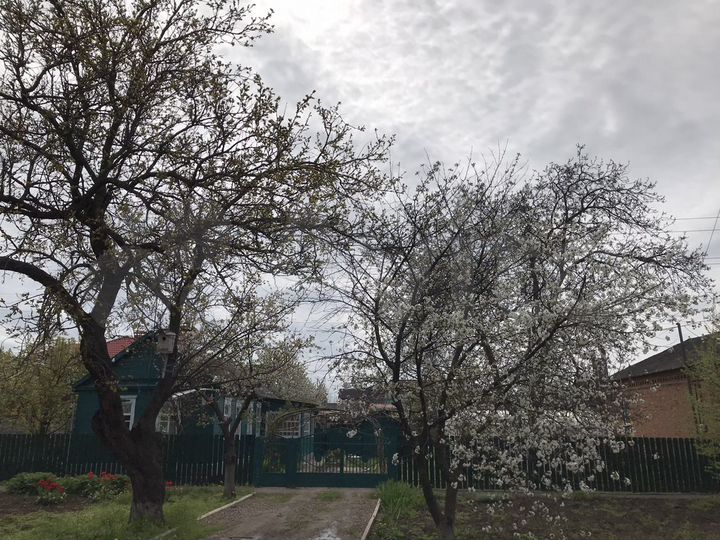 Дом 50 м² на участке 6,6 сот.