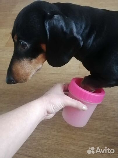 Приспособление для мытья лап собакам