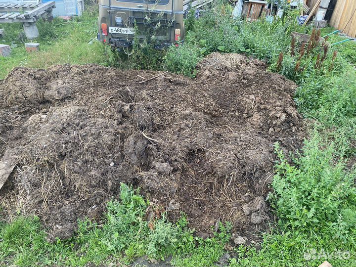 Навоз коровий